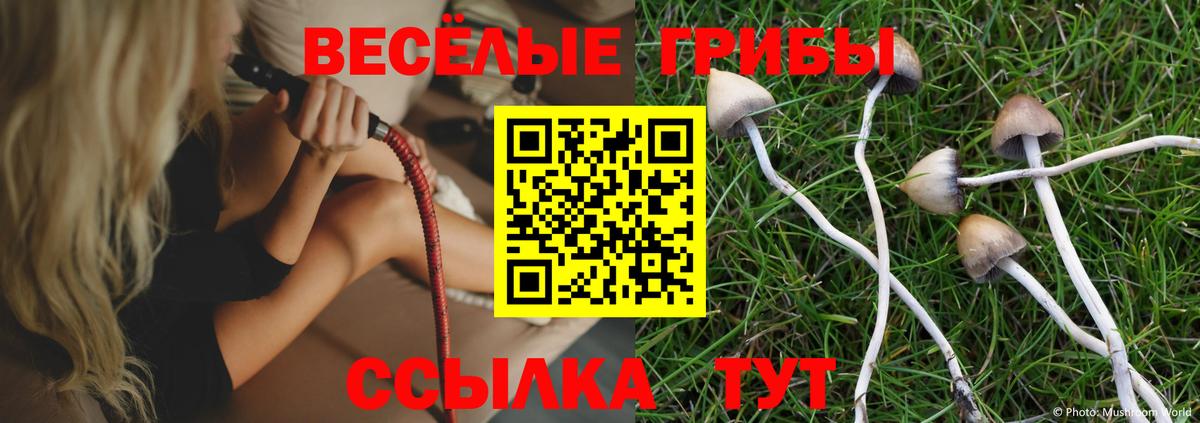 Галлюциногенные грибы мухоморы  Вход с VPN  Псилоцибиновые грибы мухоморы  Ульяновск 